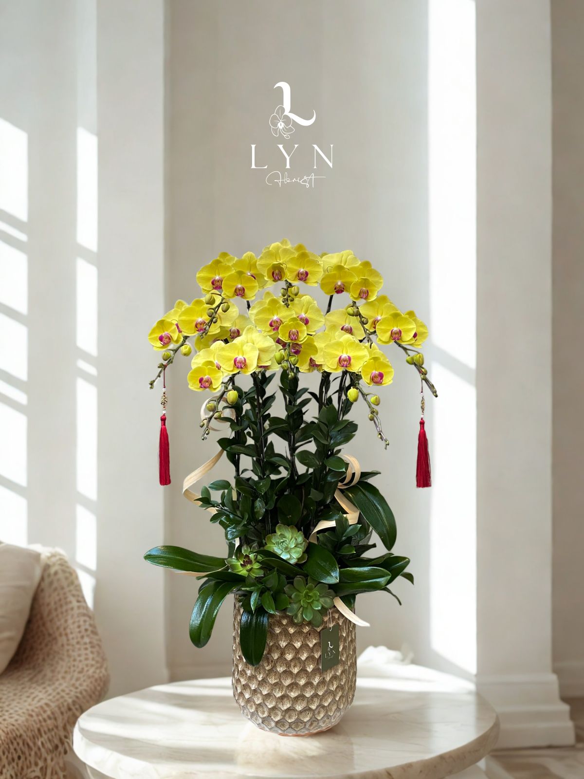 Chậu Hoa Lan Hồ Điệp Vàng